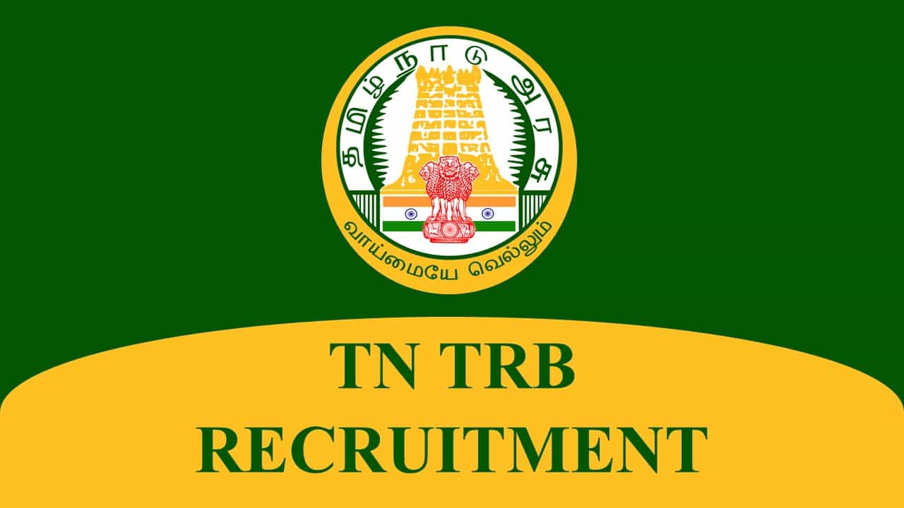TN TRB SGT Notification 2024