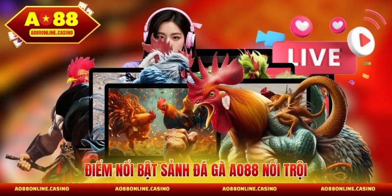 Điểm nổi bật sảnh đá gà AO88 nổi trội