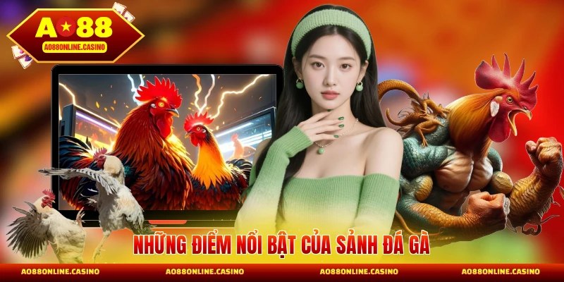 Những điểm nổi bật của sảnh đá gà